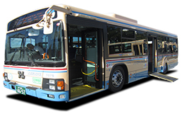 Standard Bus